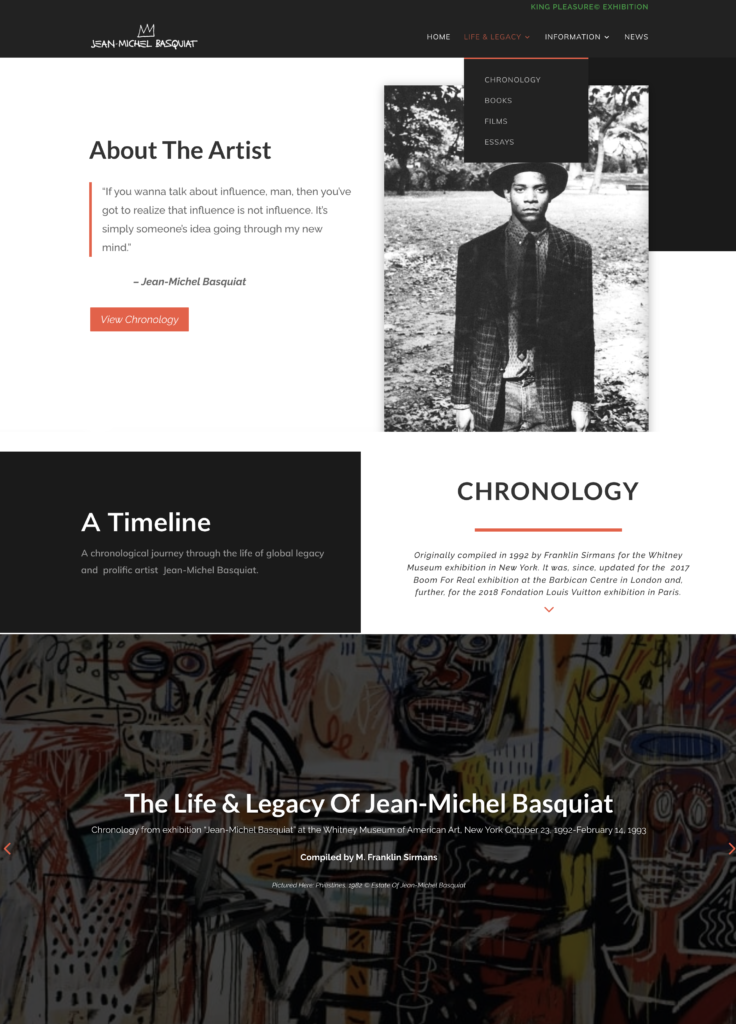 Basquiat_portfolio-about1